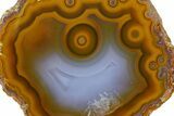 Polished Orange/Blue Banded Agate - Kerrouchen, Morocco #372676-1